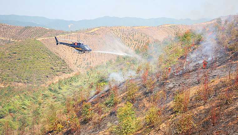 廣東消防救援隊伍開展“守護(hù)青山-2022”跨區(qū)域森林火災(zāi)撲救實戰(zhàn)拉動演練