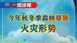 一圖讀懂丨今年秋冬季森林草原火災形勢